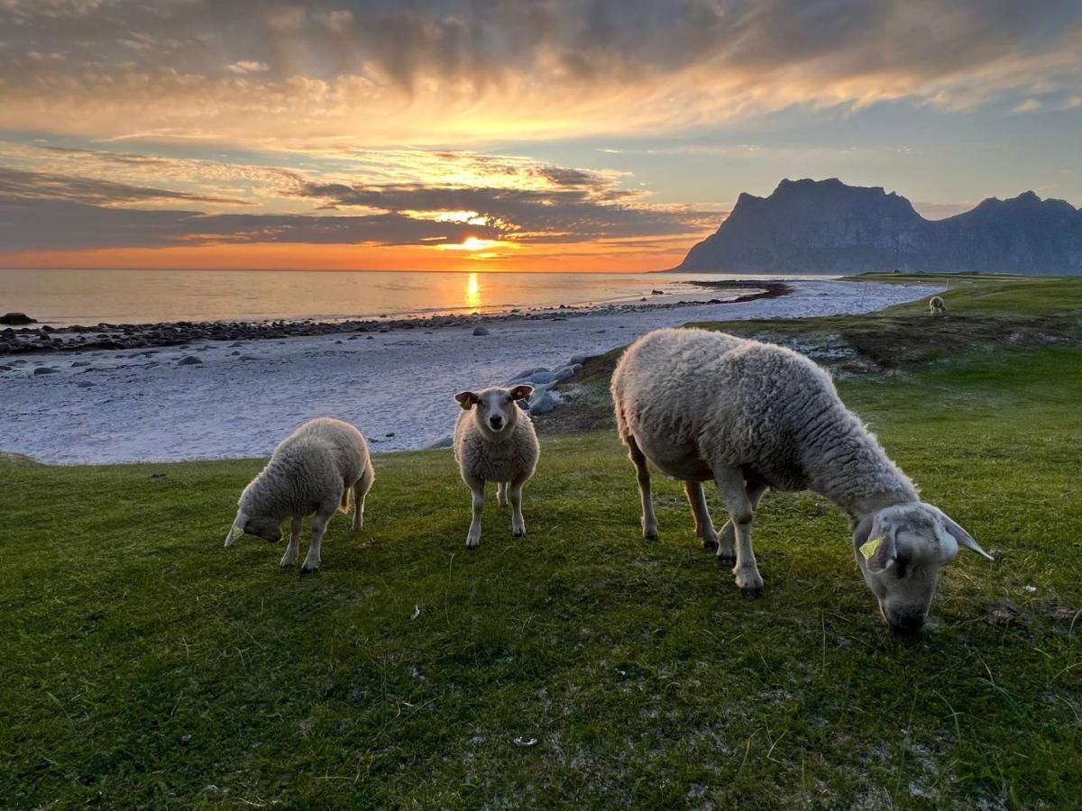 Real Fisherman'S Cabins In Ballstad, Lofoten Exterior photo